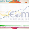US30 NovaBid Scalper EA MT5 Backtests