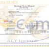 ALT Income EA MT4 Backtest