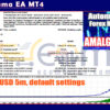 Amalgama EA MT4 Backtest
