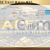 Apex Gold Trend Matrix MT5 Live Result