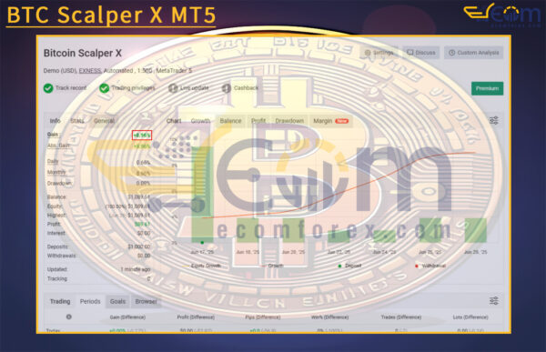 BTC Scalper X MT5 LIVE RESULT MYFXBOOK