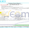 BitPro EA MT4 Backtest