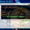 BitcoinWhale EA MT4 Backtest