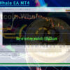 BitcoinWhale EA MT4 Input