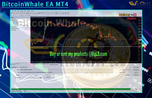 BitcoinWhale EA MT4 Input