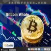 BitcoinWhale EA MT4 Logo