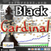 BlackCardinal EA MT4 Logo