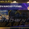 Brown Eagle EA MT4 Reviews