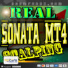 Sonata MT4 Logo