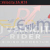DJ Rider Velocity EA MT4 Backtests