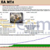 Duality EA MT4 Backtests Result