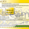 EA Tiamat MT4 Backtest