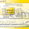 EA Tiamat MT4 Backtests