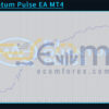 EJ Quantum Pulse EA MT4 Backtest