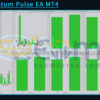 EJ Quantum Pulse EA MT4 Result