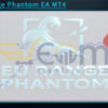 EU Range Phantom EA MT4 Backtests