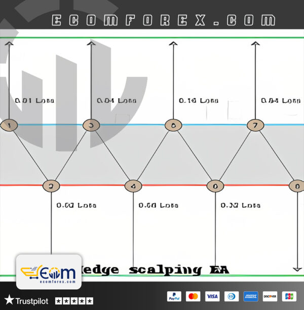 Fully hedge scalping EA MT5 Logo
