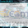 Gemini Trump EA MT4 Backtest