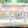 Gold Fox MT4 Backtest