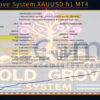 Gold Grove System XAUUSD h1 MT4 Backtest