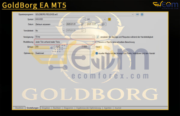 GoldBorg EA MT5 Input