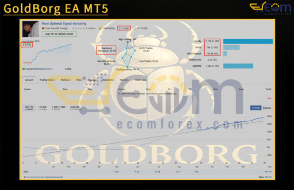 GoldBorg EA MT5 Live Result