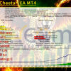 Golden Cheetah EA MT4 Backtest