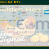 Golden Hen EA MT5 Live Result