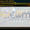 HFT Golden EA MT4 Backtest