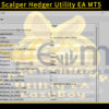 LazyBoy Scalper Hedger Utility EA MT5 Input