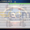 Level Up FOREX MT5 Backtests