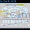 MEGA EurUsd h1 MT4 Backtest