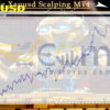 MSTrade Xauusd Scalping MT4 Backtests
