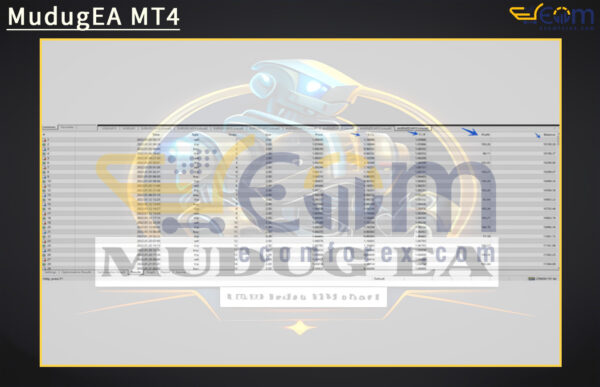 MudugEA MT4 Review