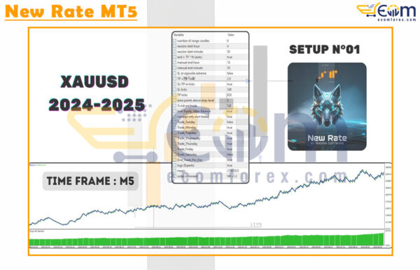 New Rate MT5 Backtest