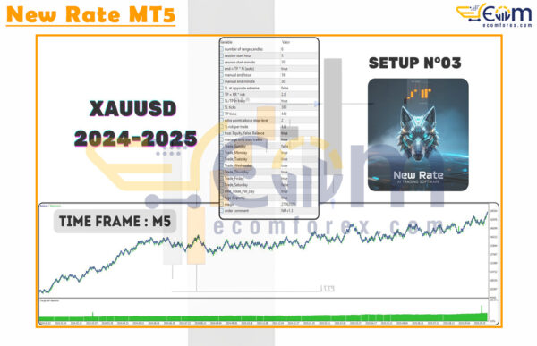 New Rate MT5 Backtests
