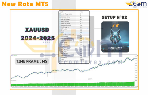 New Rate MT5 Backtests Result