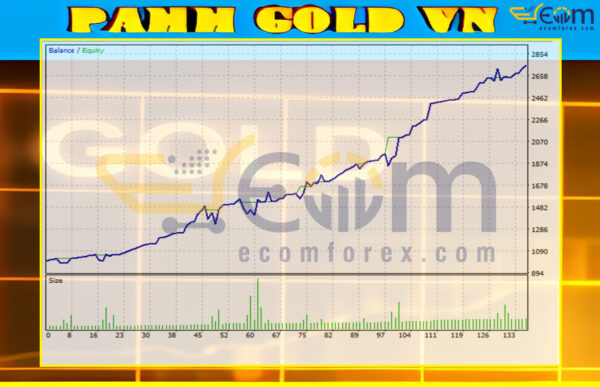 Pamm gold vn MT5 Backtest