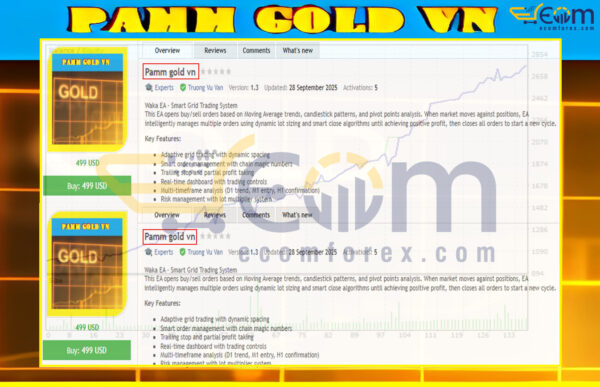 Pamm gold vn MT5 Review