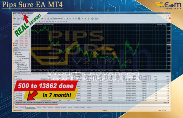 Pips Sure EA MT4 Backtest