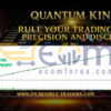 Quantum King EA MT5 Backtest