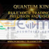 Quantum King EA MT5 Backtests