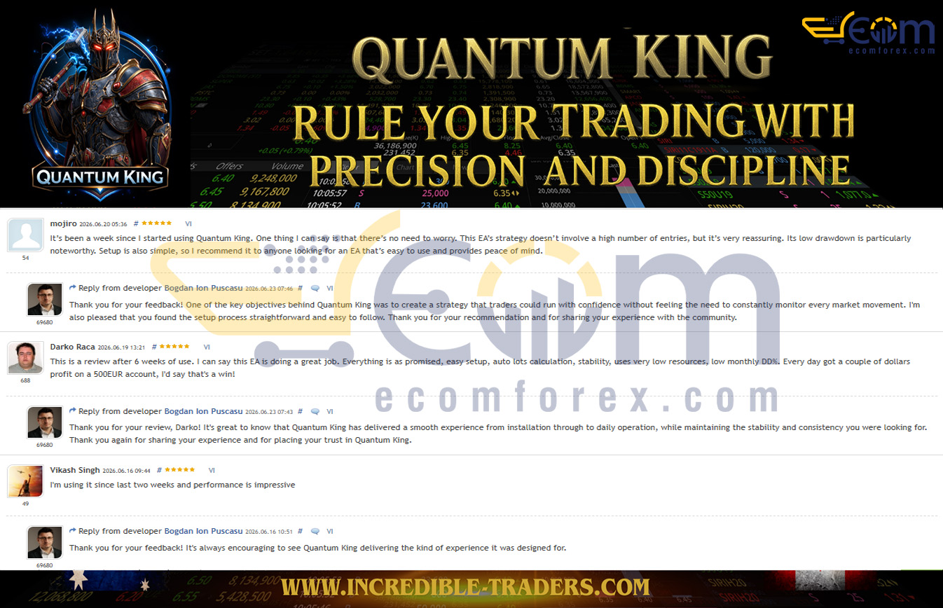 Quantum King EA MT5 Review