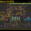 RUHM Reborn EA MT5 Backtests