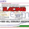 Racing EA MT4 Backtest