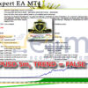 RoyalExpert EA MT4 Backtests