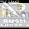 Rush XAUUSD h1 EA MT4 Backtest