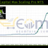Savage Capital Max Scaling Pro MT5 Backtest