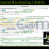Savage Capital Max Scaling Pro MT5 Input