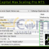 Savage Capital Max Scaling Pro MT5 Review